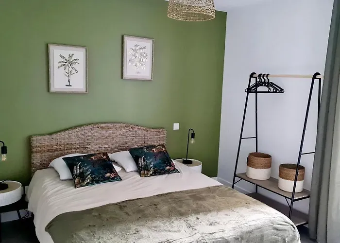 Appartement Garibaldi De Fonctionnelle Nouvelle Renovation Jardin Prive