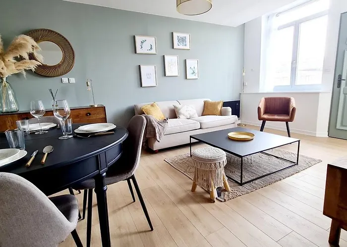 Appartement Garibaldi De Fonctionnelle Nouvelle Renovation Jardin Prive